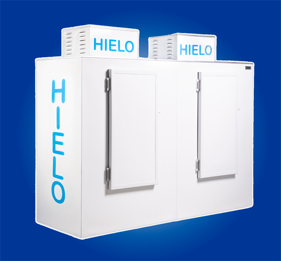 conservador de hielo en bolsa